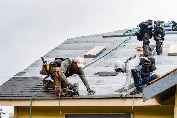 Professional Roofing technician working in Little Falls, MN